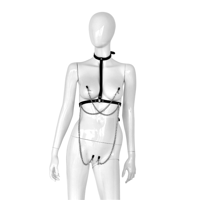 Leather Collar Chest with 4 Clamps - Afbeelding 2