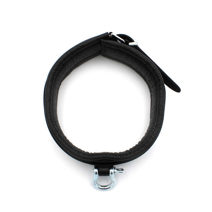 Leather Collar with Metal Shackle - Afbeelding 5