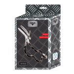 Kiotos Bizarre - Jennings