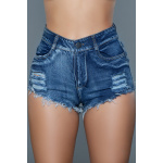 Curves For Days Shorts - BL / L