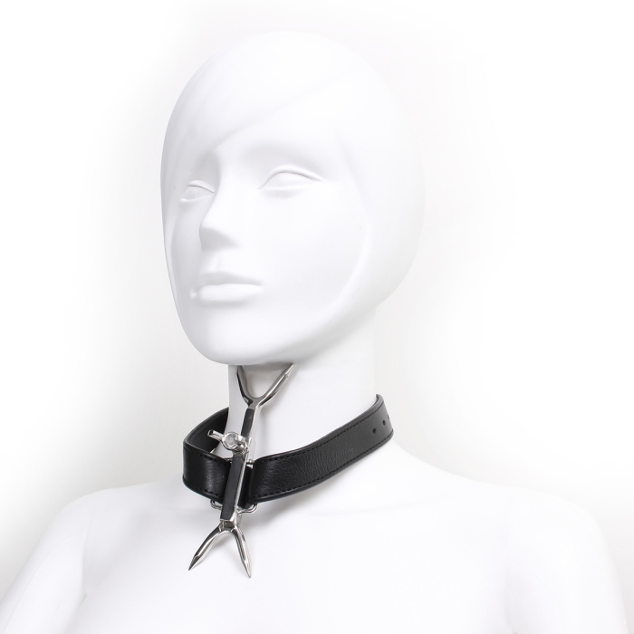 Adjustable Double Neck Collar with Pins - Afbeelding 7