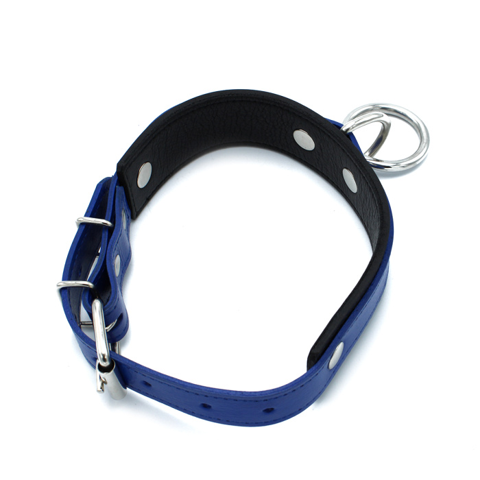 Black & Blue Leather Collar big O-Ring - Afbeelding 3