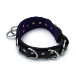 Black Leather Collar Deluxel O-Ring Multi-D-Rings - Afbeelding 5