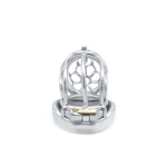 Cruve Torture Chastity Device - Afbeelding 6