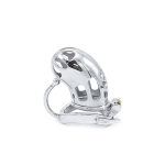 Belted Chastity Device with Ball Divider - Afbeelding 4