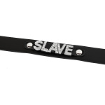 Deluxe Collar (SLAVE) - Afbeelding 3