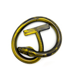 Monstar Cox Snakemaster XXL